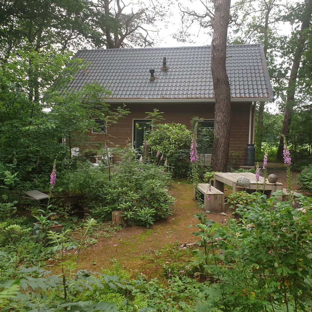 Foto 7 van Apollolaan 4