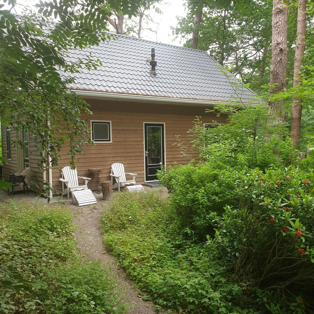 Foto 8 van Apollolaan 4