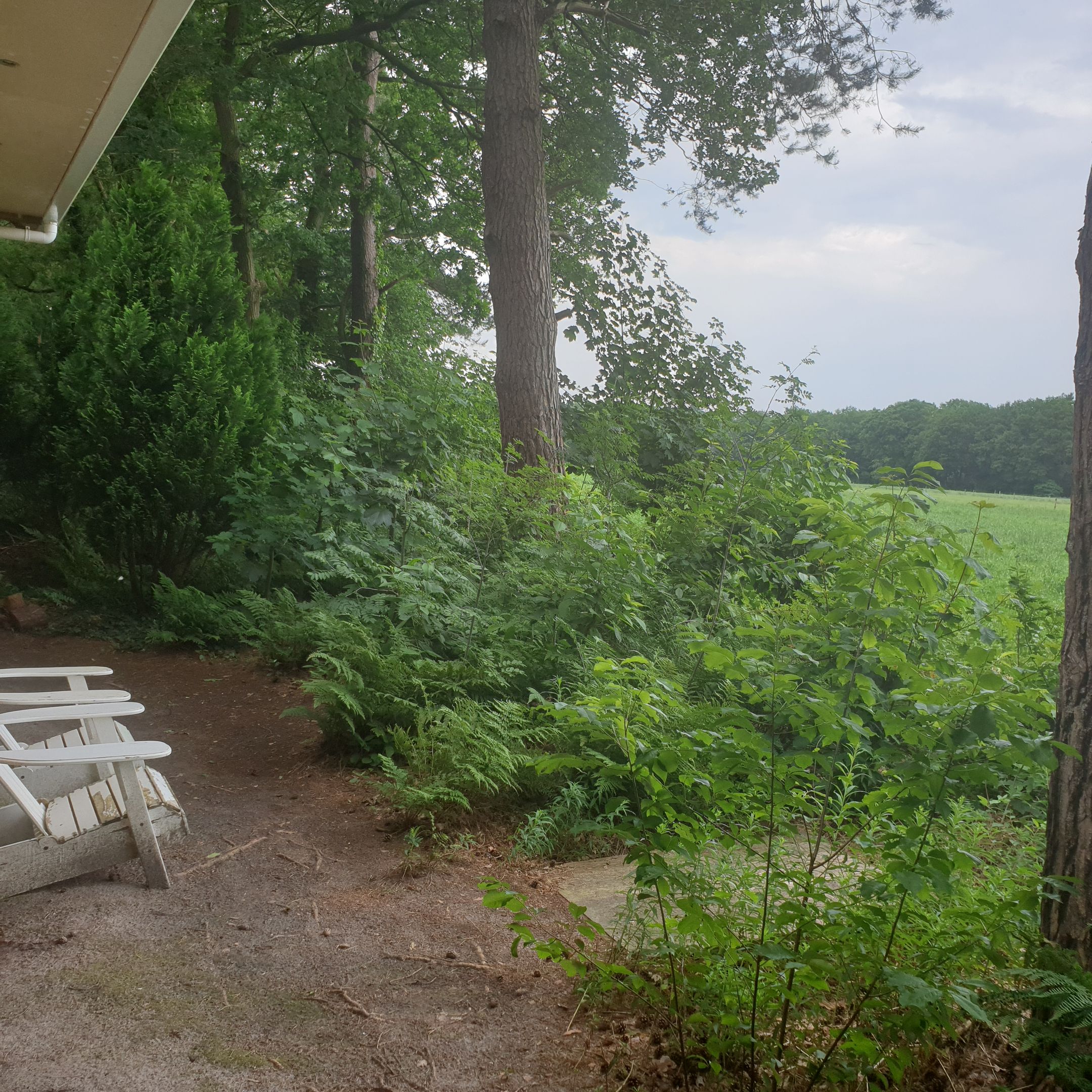 Foto 9 van Apollolaan 4