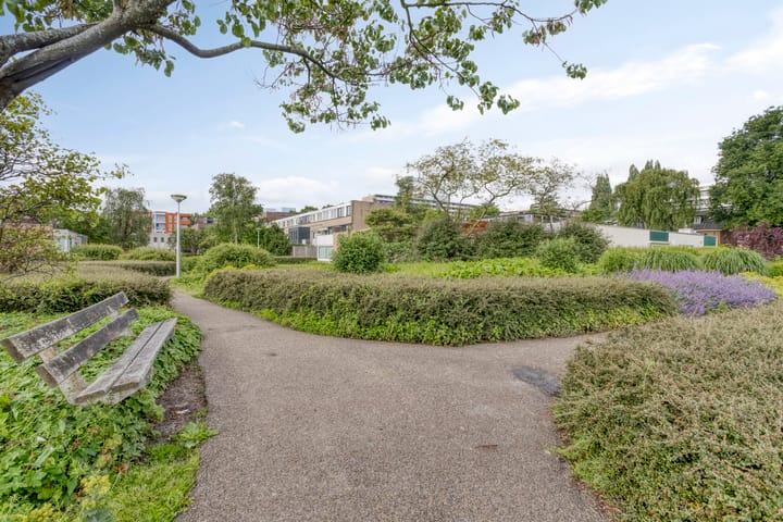 Foto 38 van Stromboli 11