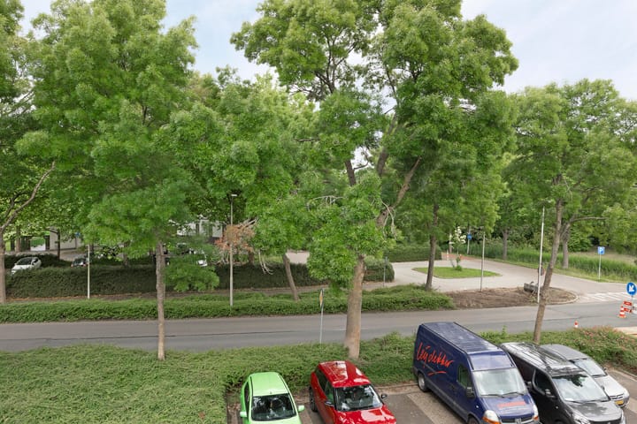 Foto 38 van Dorsvlegelstraat 5