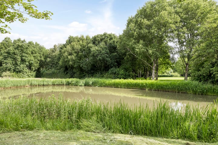 Foto 41 van Dorsvlegelstraat 5