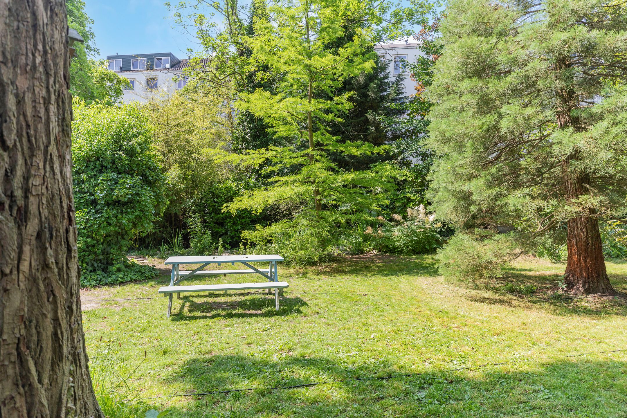 Foto 30 van Schoonderloostraat 191