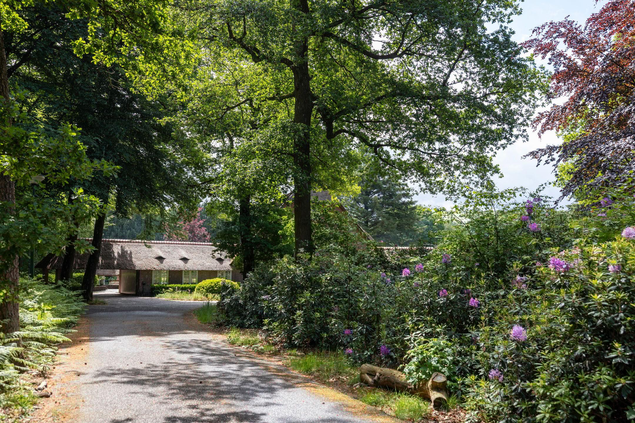 Foto 6 van Hoge Kleiweg 5