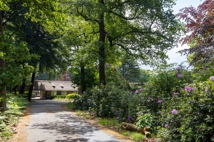 Foto 6 van Hoge Kleiweg 5