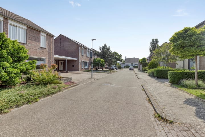 Foto 43 van Lemoen 37