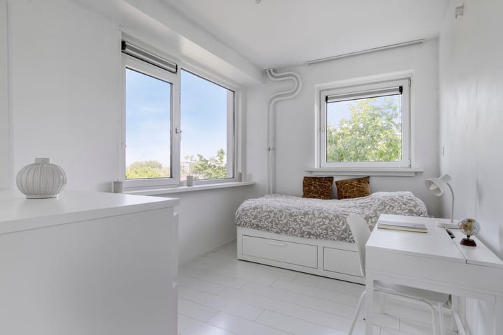 Foto 2 van Langswater 341