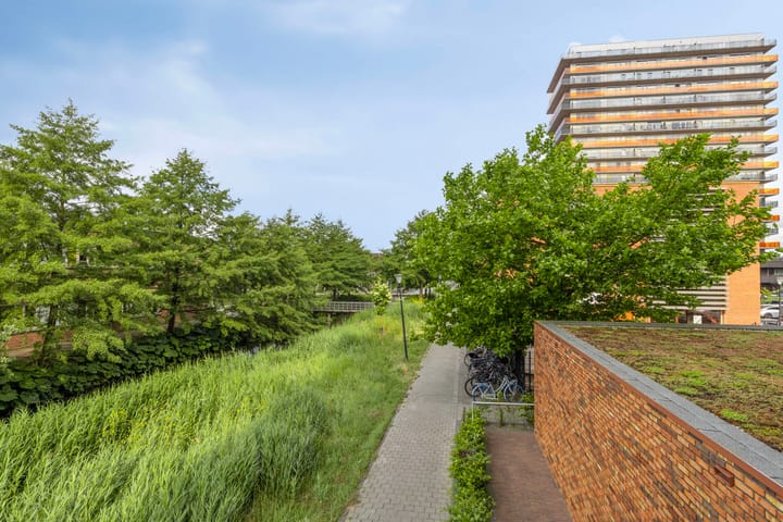 Foto 35 van Wales 10