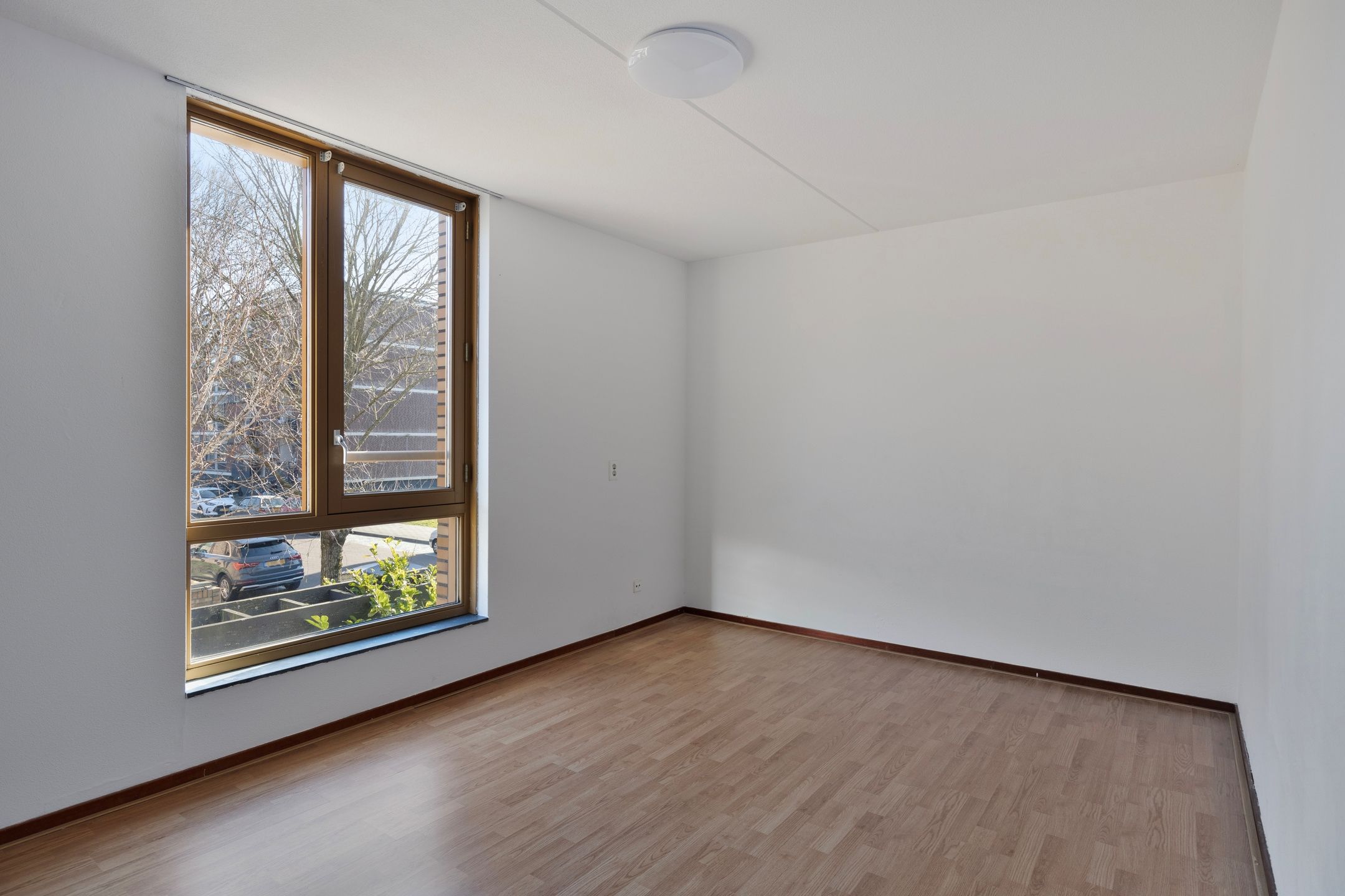 Foto 15 van Hongarenburg 168