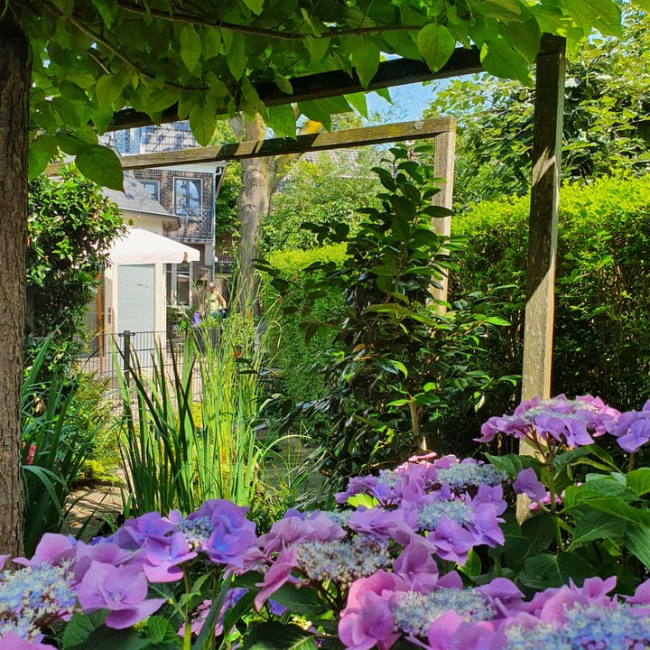 Foto 36 van Nieuwe Brouwerstraat 10