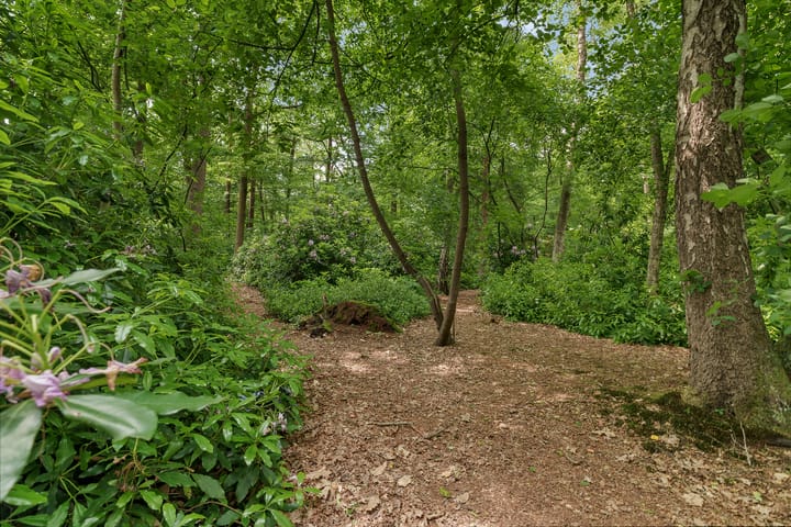 Foto 37 van Eversbergweg 90