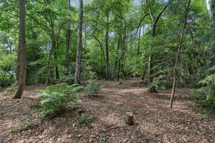 Foto 38 van Eversbergweg 90