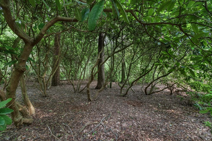 Foto 39 van Eversbergweg 90