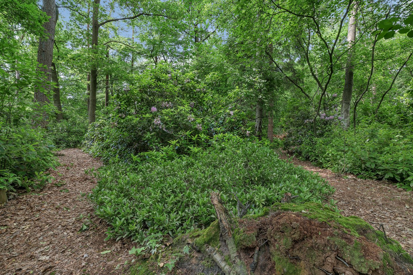 Foto 40 van Eversbergweg 90