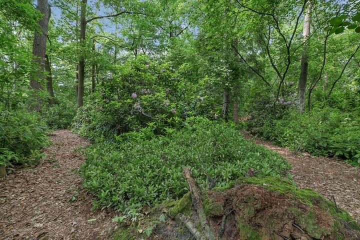 Foto 40 van Eversbergweg 90