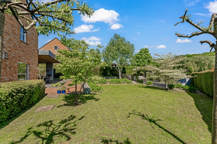 Foto 40 van En Bueren 38