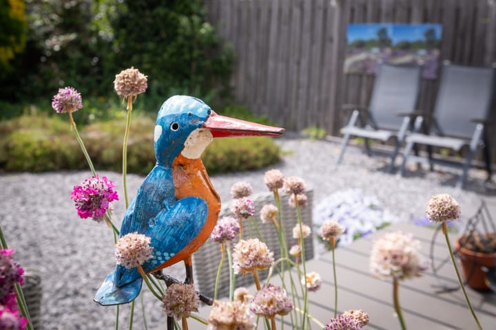 Foto 33 van Seine 20