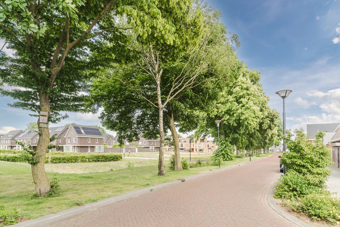 Foto 40 van Koolhof 5