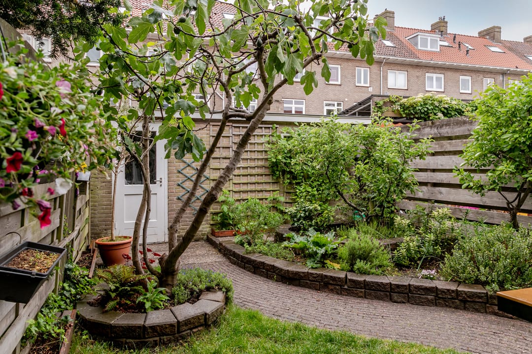 Foto 31 van Palamedesstraat 62