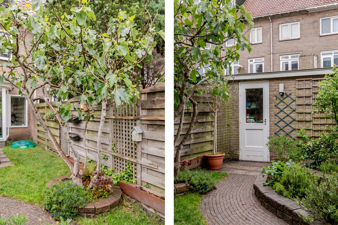 Foto 32 van Palamedesstraat 62