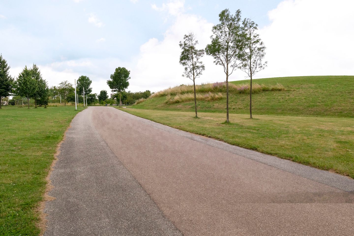 Foto 34 van Saffraanweg 59