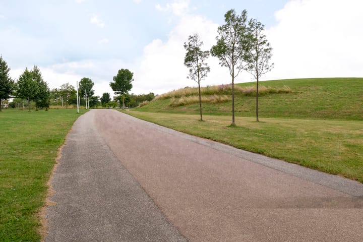 Foto 34 van Saffraanweg 59