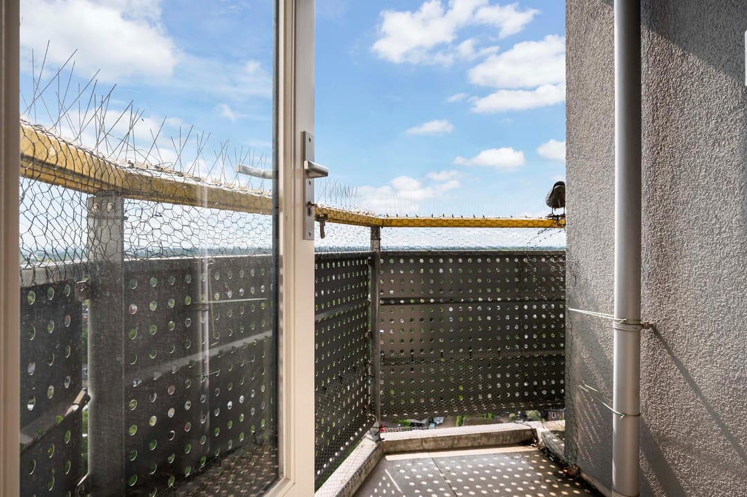 Foto 23 van Korianderstraat 114