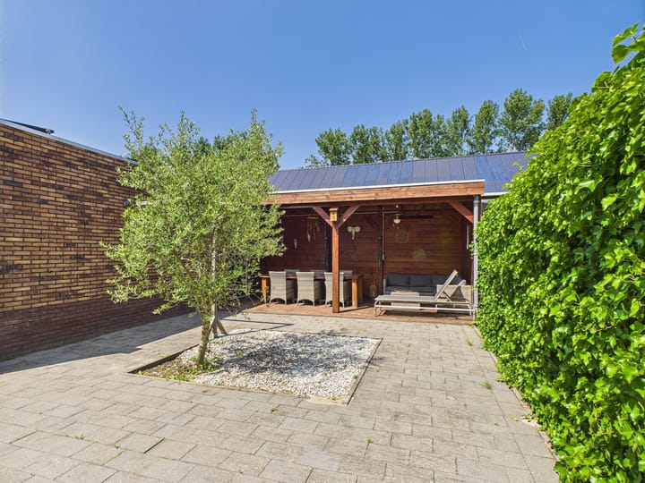 Foto 31 van Tapijtschelp 30