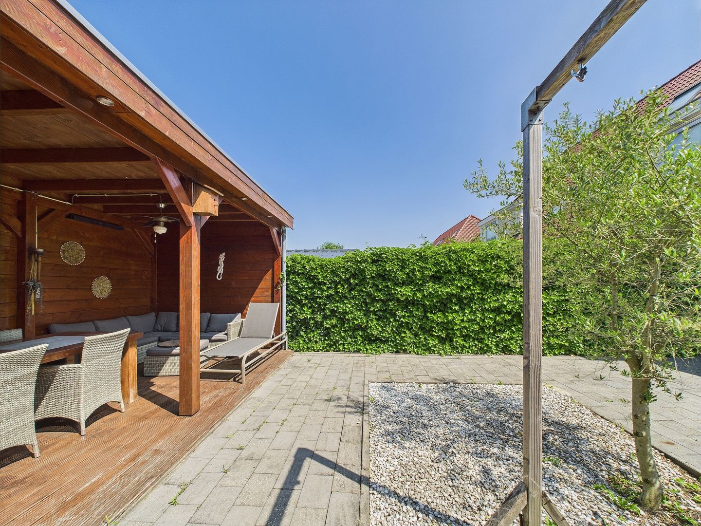 Foto 34 van Tapijtschelp 30