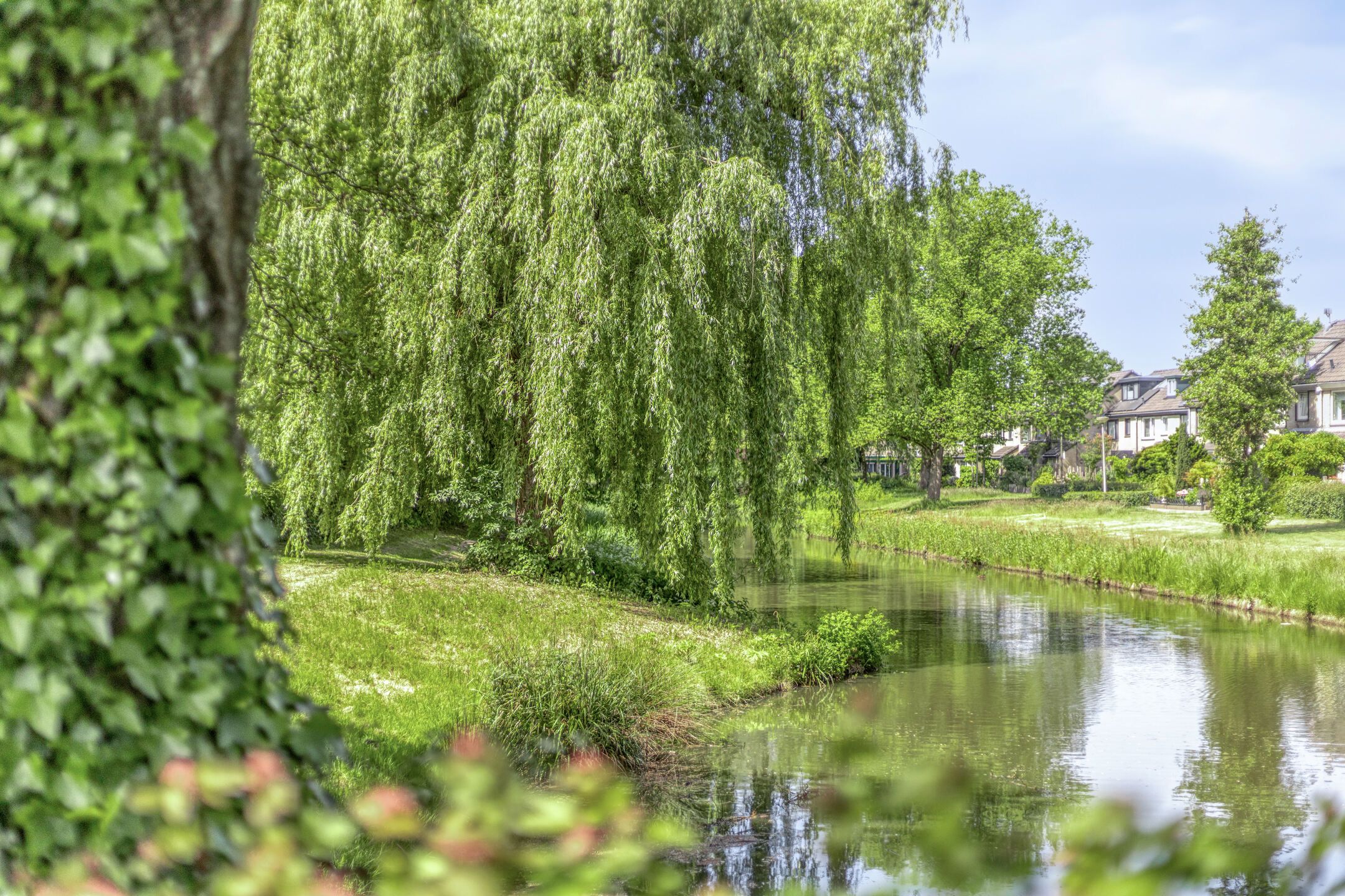 Foto 33 van Kraailandhof 89