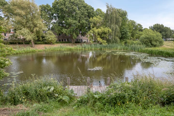 Foto 26 van Thorbeckeborch 10