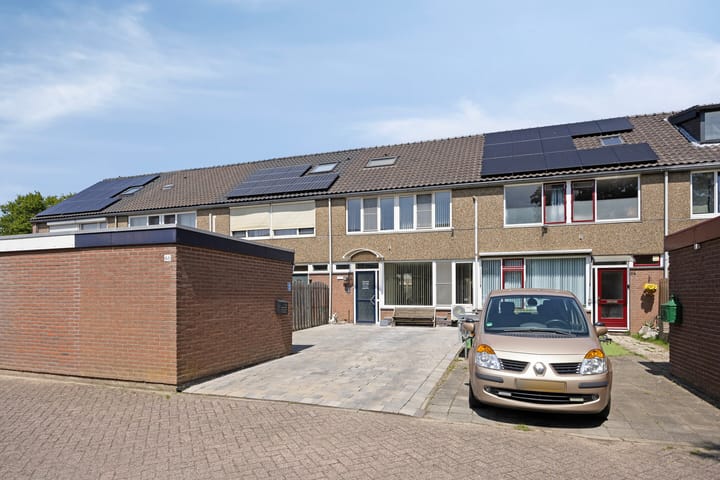 undefined main image