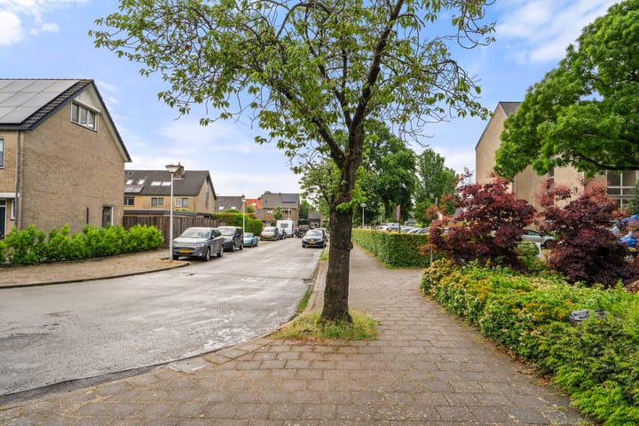 Foto 6 van Hof van Sint Pieter 47