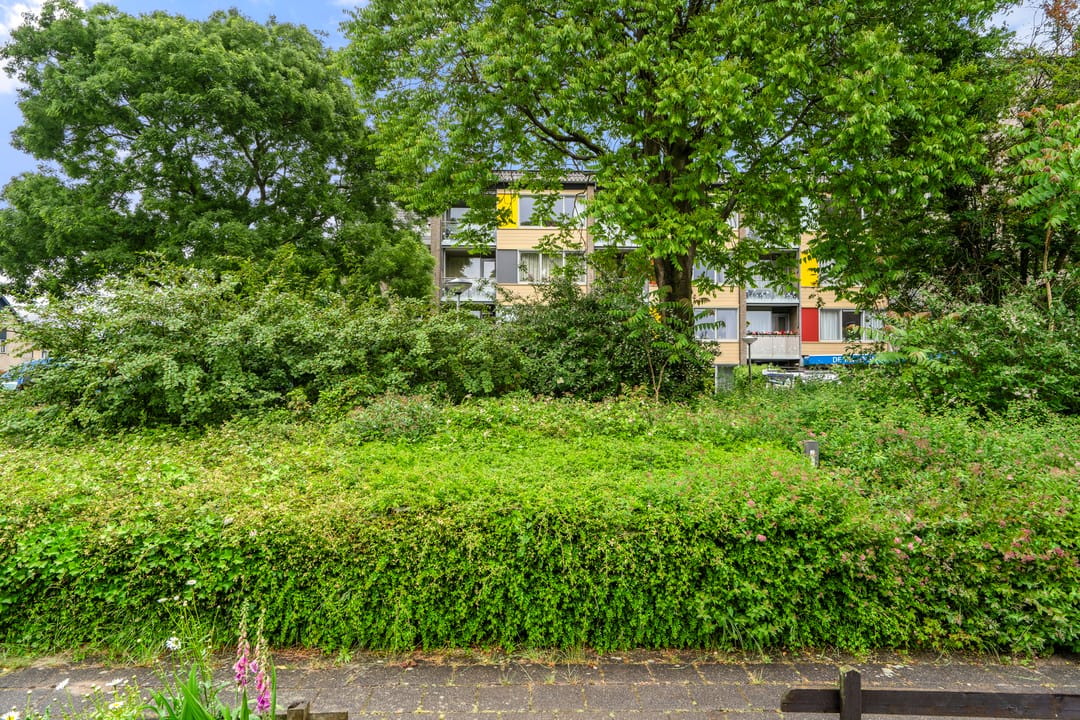 Foto 7 van Hof van Sint Pieter 47