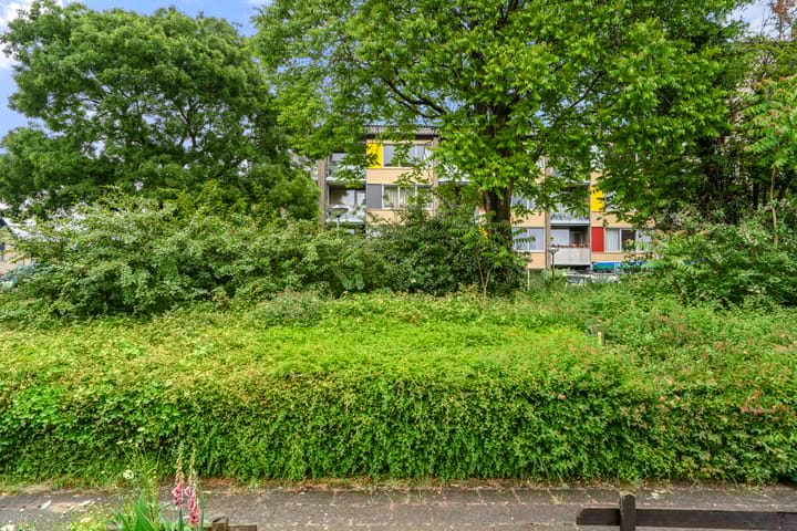 Foto 7 van Hof van Sint Pieter 47