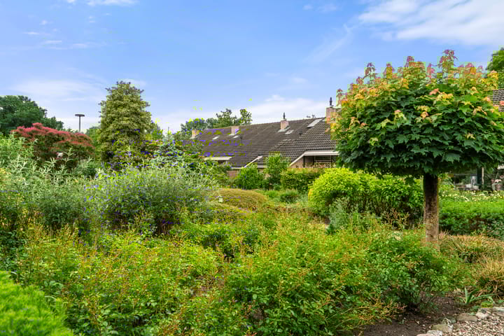 Foto 8 van Hof van Sint Pieter 47