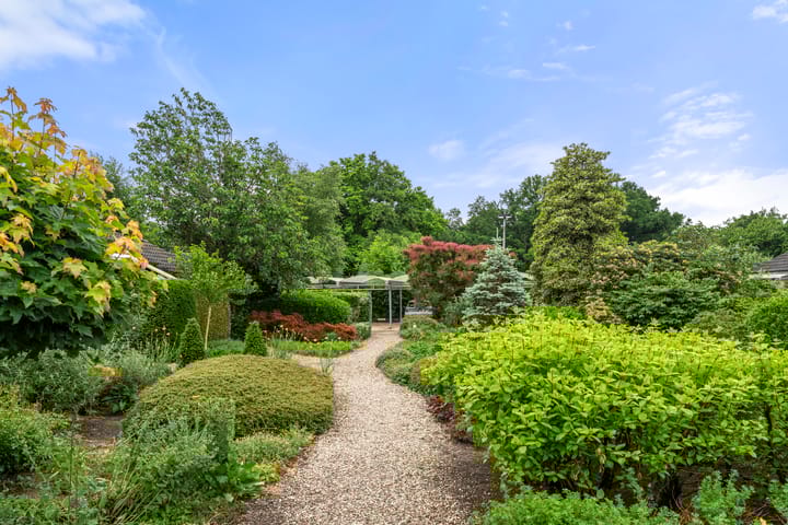 Foto 9 van Hof van Sint Pieter 47