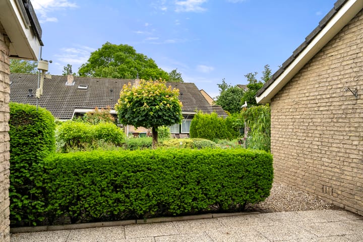 Foto 11 van Hof van Sint Pieter 47