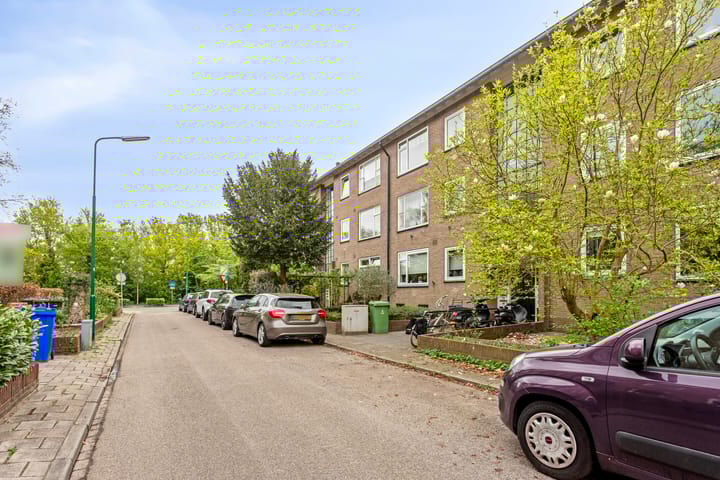 Photo 27 of Pieter de Hooghlaan 50