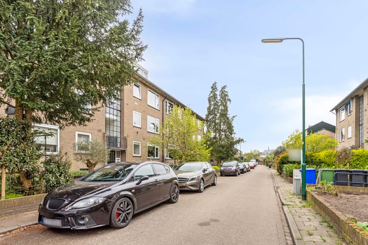 Photo 29 of Pieter de Hooghlaan 50