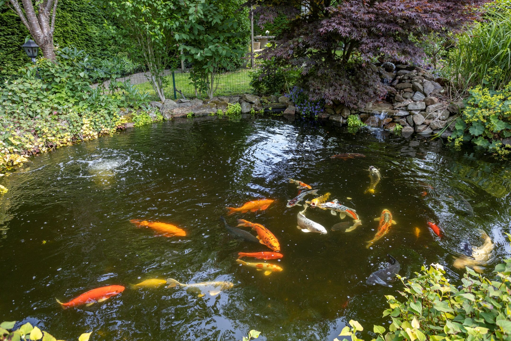 Photo 66 of Noordeindseweg 136