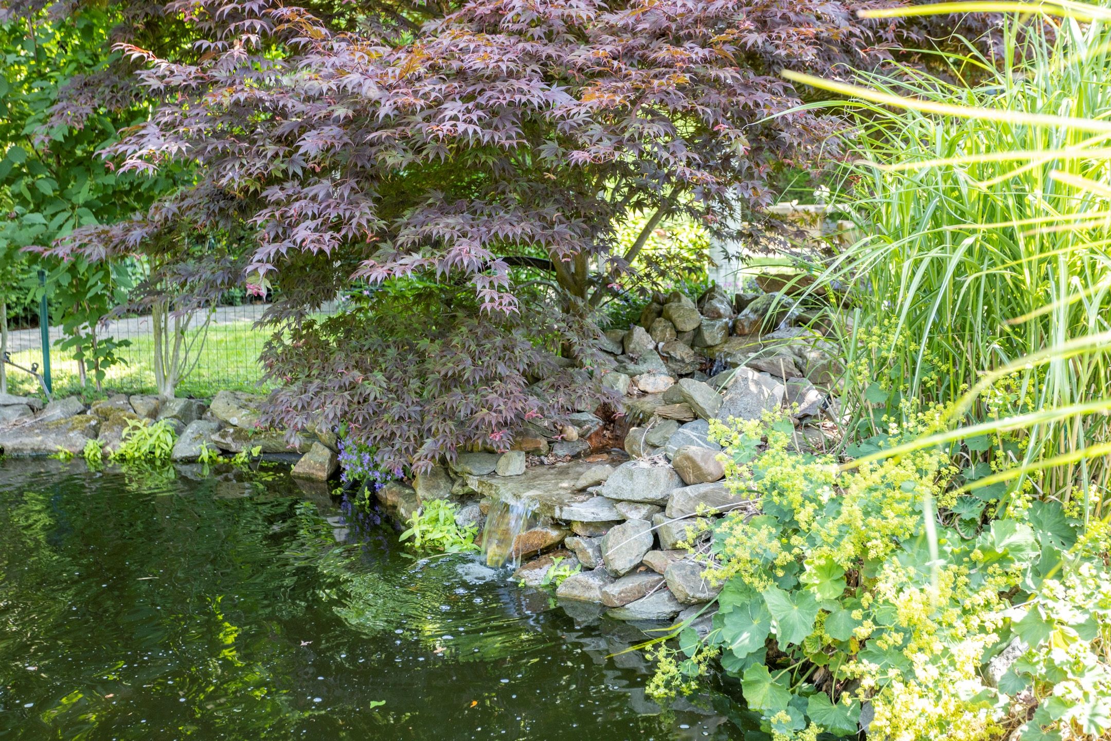 Photo 69 of Noordeindseweg 136