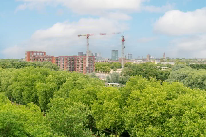 Photo 14 of Livingstonelaan 624