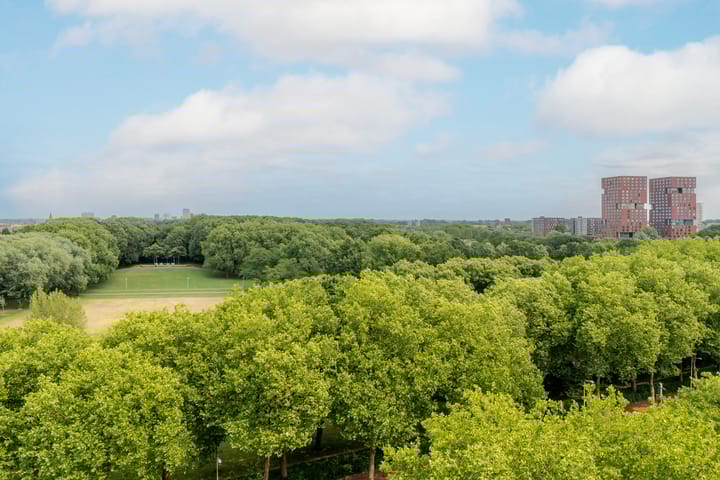 Photo 15 of Livingstonelaan 624