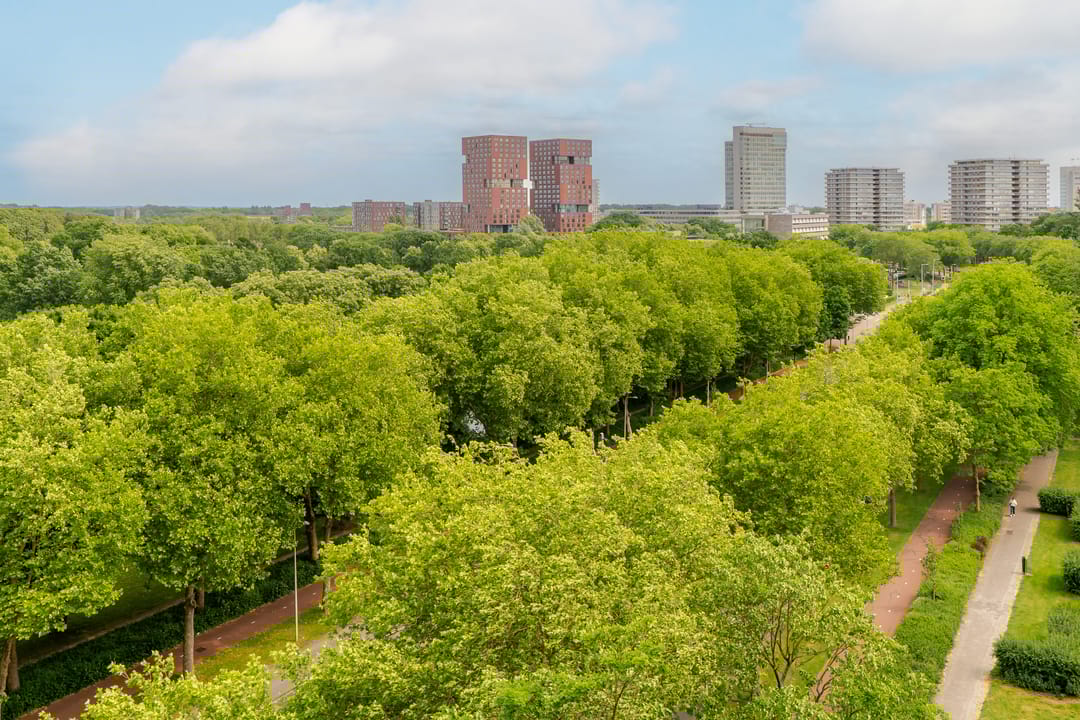 Foto 22 van Livingstonelaan 624