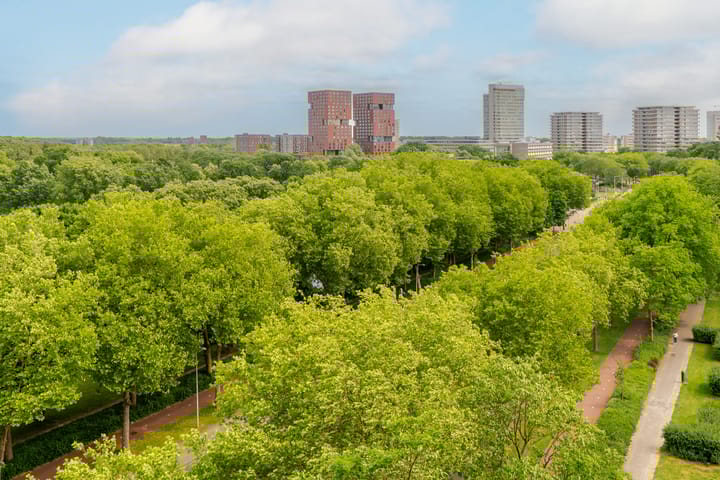 Photo 22 of Livingstonelaan 624