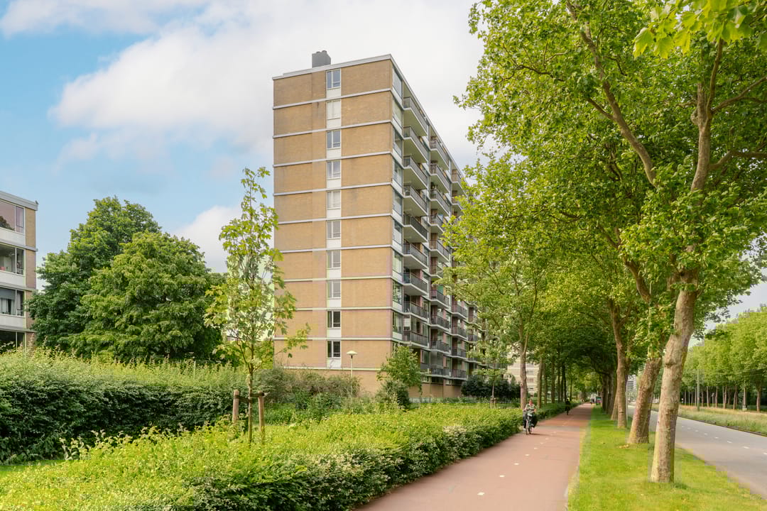 Foto 28 van Livingstonelaan 624