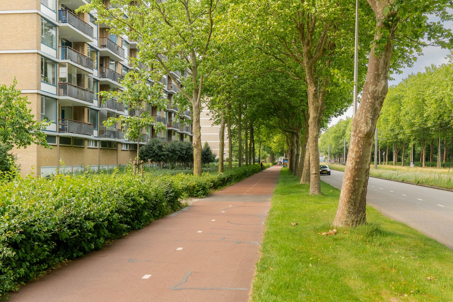 Foto 29 van Livingstonelaan 624