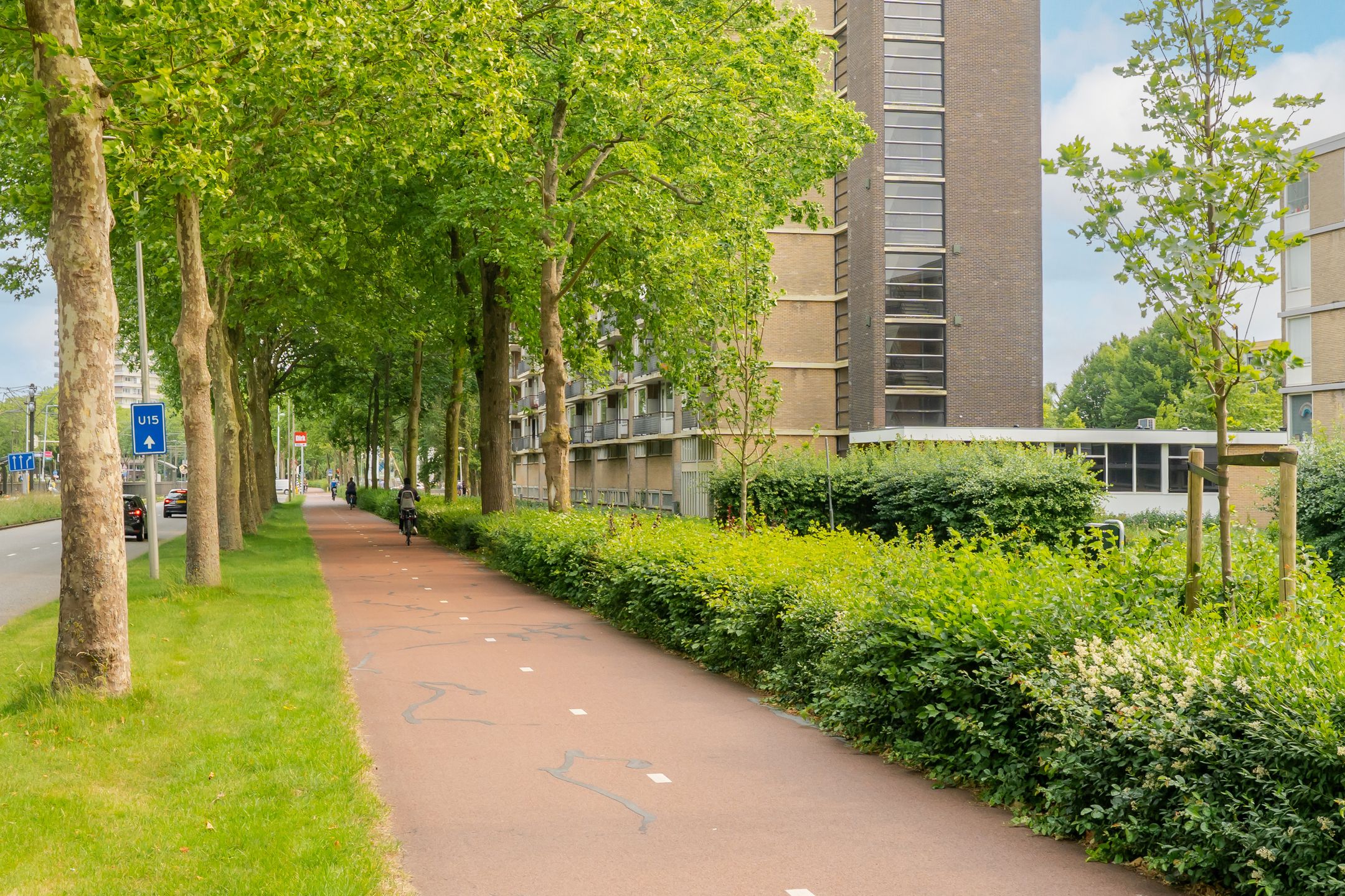 Foto 30 van Livingstonelaan 624