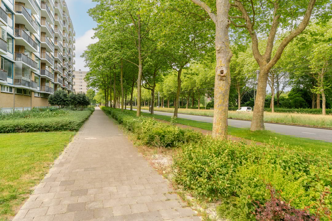 Foto 31 van Livingstonelaan 624